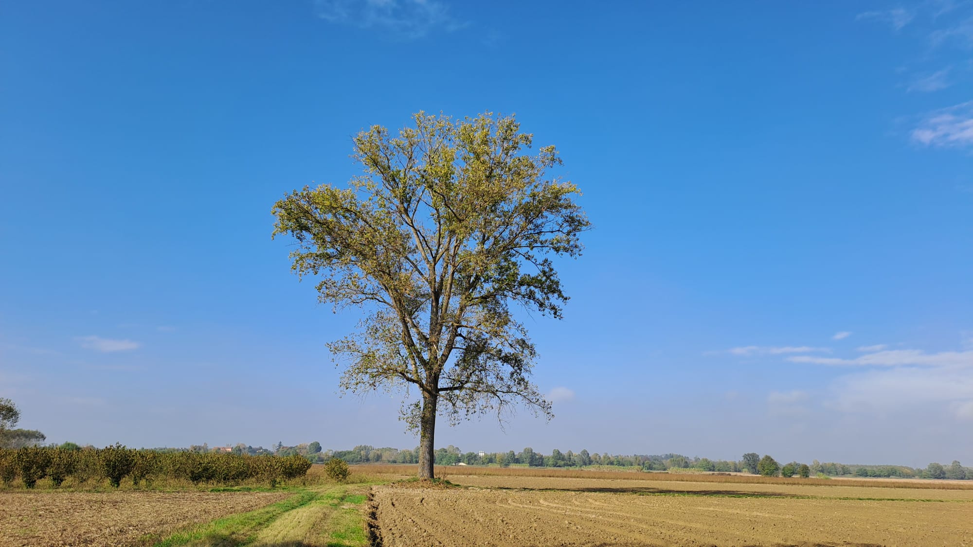 Focus Esami di Stato: lunedì 27 ottobre un evento in streaming rivolto a chi può accedere all’esame